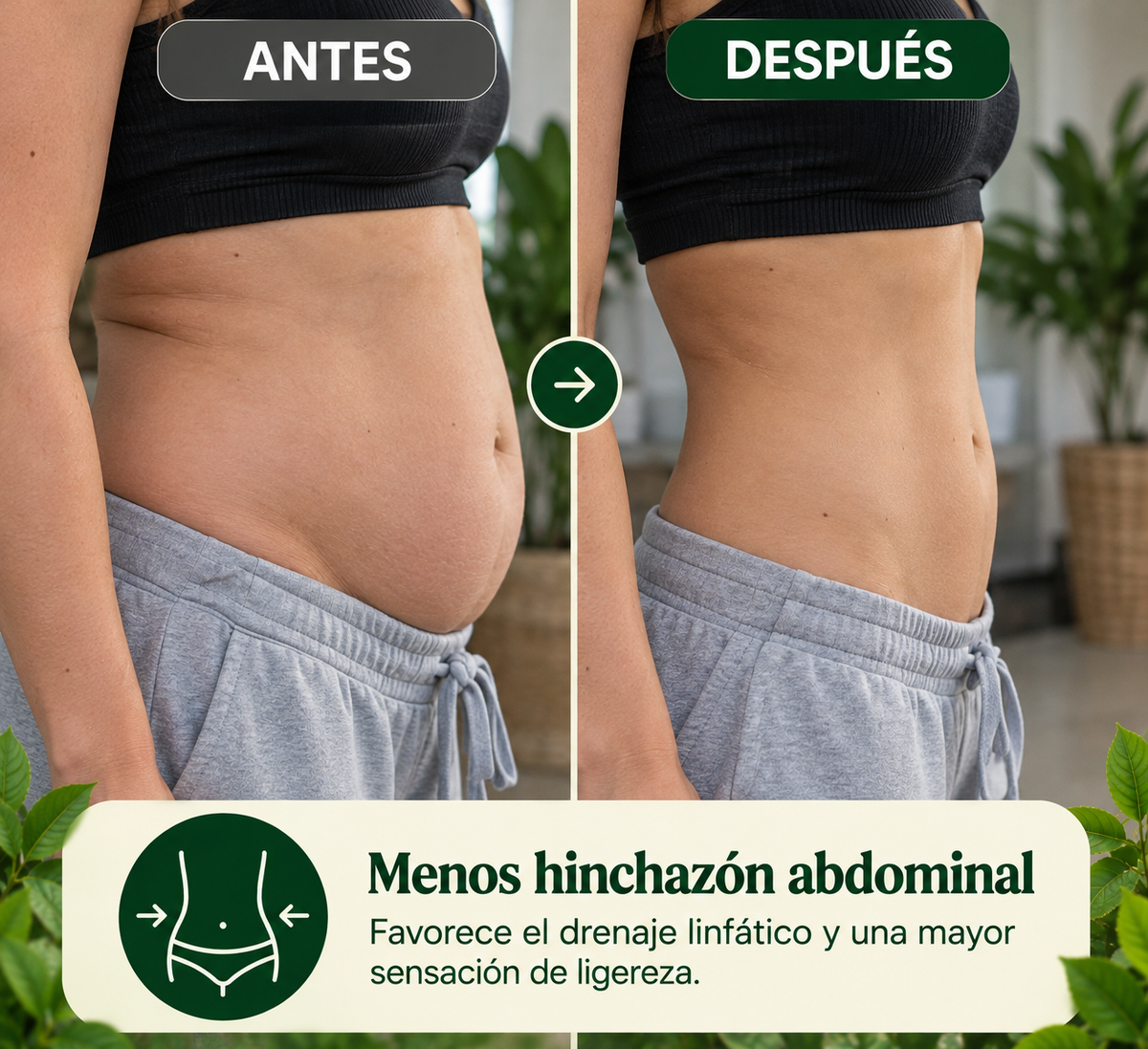 Lymphatic Drainage: Suplemento Líquido de Extractos Herbales